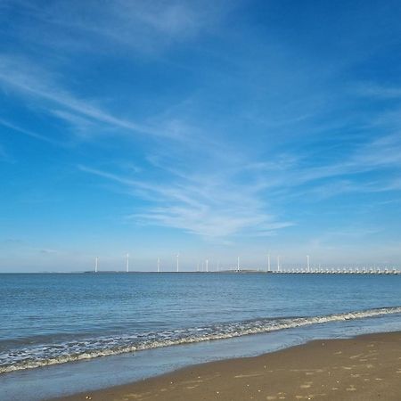 Ruime Vrijstaande Vakantiewoning Aan Veerse Meer, 6 Persoons Wolphaartsdijk エクステリア 写真